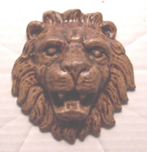 HD44 Lion Face 4 in..JPG