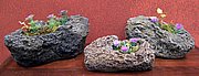 M062 M063, M064 Lava Rocks 9,8,6 in..JPG