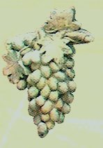 F606 Grapes (medium) 9x5 in..jpg