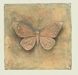 N101 Butterfly 7x7 in..jpg