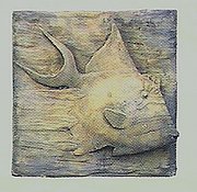 FI906 Trigger Fish 7x7 in..jpg