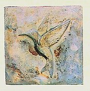 N203 Hummingbird 7x7 in..jpg