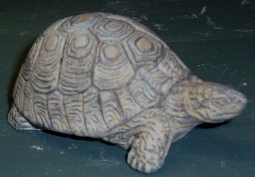 Mini Turtle 3 in..JPG