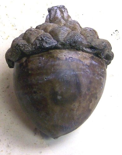 Acorn 5.5 in. H.JPG