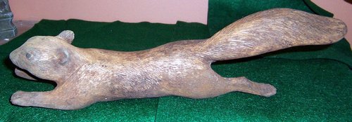 GC24 Squirrel climbing - 13 in.JPG