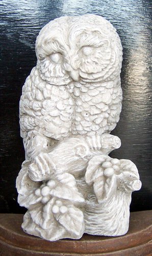 GC30 Owl on Branch 9 in..JPG
