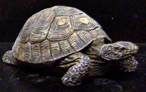 M66 Tortoise 8x5.5 4in..JPG