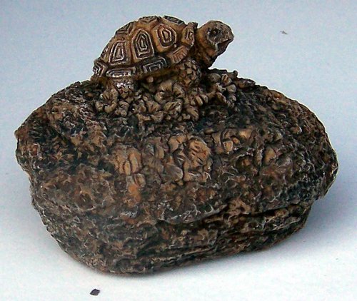 Y104 Turtle on rock 3 in..JPG