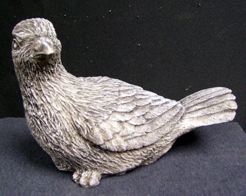 Y1519 Dove 5 x 7 in..JPG
