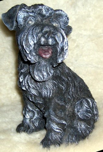 Y1710 Schnauzer Pup 10  in..JPG