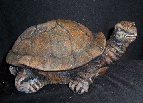 Y2103 Turtle 7 in..JPG
