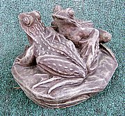 AL46 Frogs on Rock 7 in.JPG