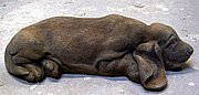 GC25 Hound 19 x 4 in..JPG