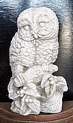 GC30 Owl on Branch 9 in..JPG