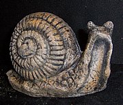 Large Snail.JPG