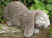 M55 Flop Eared Bunny 14 in..JPG