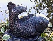 M61 Pond Fish 6 x 6 in..JPG