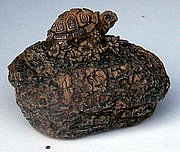 Y104 Turtle on rock 3 in..JPG