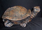 Y2103 Turtle 7 in..JPG