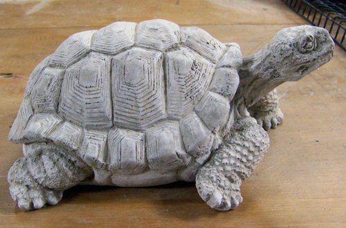 GC27 Large Turtle - 12 x9in..JPG