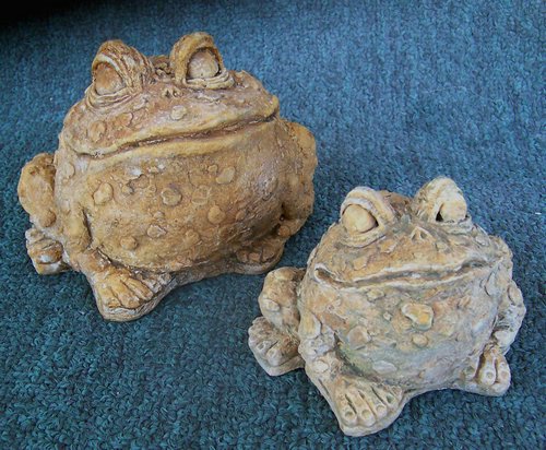 M069 & GS06 Funky Toads 3.5 or 2in.JPG