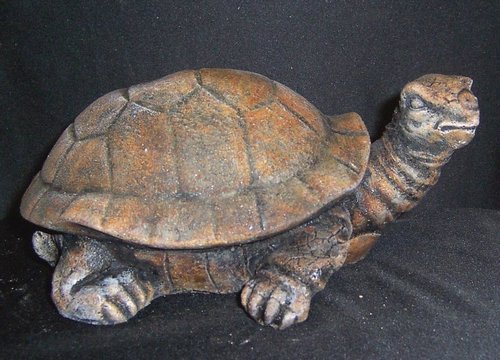 Y3776 Franklin Turtle 7 in..JPG