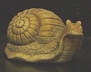 Y128 Snail 3H x 4.5 in. L.JPG