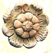 A310 Ceiling Rosetta (sm) 5x5 in..jpg